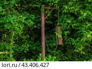 Пожарная рында в зарослях. Стоковое фото, фотограф Илья Старков / Фотобанк Лори