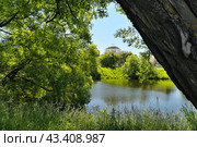 Estate of Counts Chernyshevs, Alexandrino Park. Summer panorama. Russia, Saint-Petersburg. Стоковое фото, фотограф Елена  Попкова / Фотобанк Лори