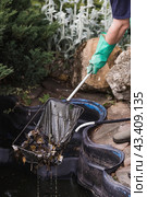 A gardener cleans a decorative pond from foliage and dirt. Construction and cleaning of an ornamental pond in the garden. Landscape design. Стоковое фото, фотограф Photojuli / Фотобанк Лори
