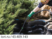 A gardener cleans a decorative pond from foliage and dirt. Construction and cleaning of an ornamental pond in the garden. Landscape design. Стоковое фото, фотограф Photojuli / Фотобанк Лори