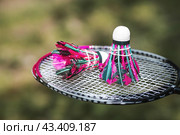 A racket and a shuttlecock on a background of green grass. Playing badminton. A summer sport. Outdoor games. Стоковое фото, фотограф Photojuli / Фотобанк Лори