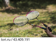 A racket and a shuttlecock on a background of green grass. Playing badminton. A summer sport. Outdoor games. Стоковое фото, фотограф Photojuli / Фотобанк Лори