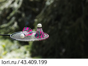 A racket and a shuttlecock on a background of green grass. Playing badminton. A summer sport. Outdoor games. Стоковое фото, фотограф Photojuli / Фотобанк Лори