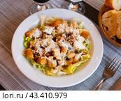Cesar salad with chicken, lettuce and cheese parmesan. Стоковое фото, фотограф Яков Филимонов / Фотобанк Лори