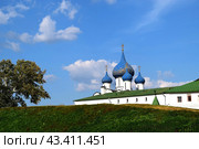 Вид на Суздальский Кремль и Богородице-Рождественский собор, Суздаль 2019 год. Стоковое фото, фотограф Photolart / Фотобанк Лори