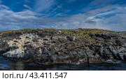A lot of sea lions are resting, lying on a rocky island. The cormorants sat down on the cliff. Sparse grassy vegetation on the slopes. Clouds in the blue sky. Isla de los lobos. Argentina. Стоковое фото, фотограф Вера Ивановна Кубарева / Фотобанк Лори