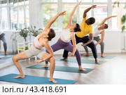 Young woman coach and students perform utkata konasana during training in studio. Стоковое фото, фотограф Яков Филимонов / Фотобанк Лори