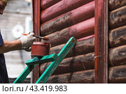 A man works with a brush and applies red paint to a wooden village house. A worker paints wooden planks in close-up. Half of the painted surface. Smearing with a brush. Стоковое фото, фотограф Photojuli / Фотобанк Лори