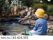 A 5-year-old boy in a yellow panama hat launches a radio-controlled boat in a pond. Children's fun and street games. Child's leisure time. Стоковое фото, фотограф Photojuli / Фотобанк Лори