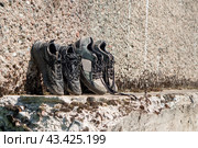 Camping footwear. Soaked shoes drying in the sun. Стоковое фото, фотограф Zima Nadezhda / Фотобанк Лори