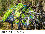Bicycle trip with tents. Camping in a pine forest. Tourist tent and bicycle in the forest. (2022 год). Редакционное фото, фотограф Zima Nadezhda / Фотобанк Лори