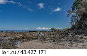 Littoral at low tide. Rocks, algae, clam shells are visible on the exposed seabed. Green vegetation on the coastal cliff. In the distance, an island is visible in the ocean. Blue sky, clouds. Стоковое фото, фотограф Вера Ивановна Кубарева / Фотобанк Лори