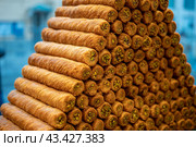 Traditional oriental sweets baklava with nuts. Juicy sweetness, Honey baklava. Traditional oriental dessert. Pieces of sweet puff pastry with walnuts. Food background. Soft focus. Close up shot. Стоковое фото, фотограф Павел Муравьев / Фотобанк Лори