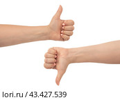 Woman's hand shows a thumbs up gesture and hand thumb down sign isolated on white background. Close-up of female hand gesture like or dislike, bad, good, disapproval. Стоковое фото, фотограф Павел Муравьев / Фотобанк Лори