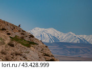 Человек на скале с видом на заснеженные горы (2024 год). Редакционное фото, фотограф Кирилл Басов / Фотобанк Лори