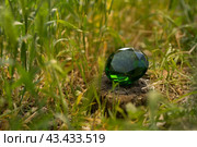 Glittering green magical crystal emerald in forest, diamond. Стоковое фото, фотограф Артем Жуков / Фотобанк Лори