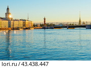 Kunstkamera building at the University embankment of Neva river in St Petersburg,Russia. The Kunstkamera is the first museum in Russia (2016 год). Стоковое фото, фотограф Константин Лабунский / Фотобанк Лори