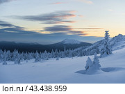 Круглица. Стоковое фото, фотограф Артур Ибрагимов / Фотобанк Лори
