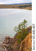 Baikal Lake in summer. View of Olkhon Island near the village of Kharantsy. Rocky shore of the Small Sea with green larches on the cliff. Typical Baikal landscape. Summer tourism, hiking and travel. Стоковое фото, фотограф Виктория Катьянова / Фотобанк Лори