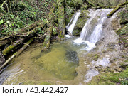Водопад на реке Мезмайка, Мезмай, Краснодарский край. Стоковое фото, фотограф Оглоблин Андрей Николаевич / Фотобанк Лори