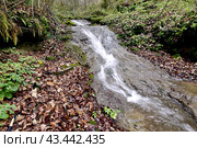 Водопад на реке Мезмайка, Мезмай, Краснодарский край. Стоковое фото, фотограф Оглоблин Андрей Николаевич / Фотобанк Лори