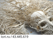 The abstract composition, done in light and cream tones, depicts complex interweaving of organic forms reminiscent of roots or the vascular system. The central element of the composition is a white structure resembling a skull, surrounded by intricately intertwined, intricate and delicate branches. This painting evokes nature and anatomy, creating a sense of depth and complexity. Light, airy lines and textures add elegance and subtlety to the image. Стоковое AI-изображение, AI-художник Анна Кривицкая / Фотобанк Лори