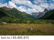 View of the floodplain of the Gonachkhir River in the northern foothills of the Caucasus Mountains near the village of Dombay on a sunny summer day, Karachay-Cherkessia, Russia. Стоковое фото, фотограф Ula Ulachka / Фотобанк Лори