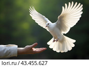 A hand touching planet Earth, observing humanity's energy consumption at night, and a free bird enjoying nature, the concept of hope. Стоковое AI-изображение, AI-художник Ирина Старикова / Фотобанк Лори
