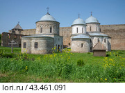 Старинные храмы в Ивангородской крепости, Ленинградская область (2024 год). Стоковое фото, фотограф Анна Карасева / Фотобанк Лори