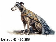 Greyhound, an elegant and slender dog with graceful muscles. The dog sits, dressed in a luxurious velvet cloak with rich patterns of gold and blue shades. The background of the image is white, which focuses attention on the noble appearance of the animal and its exquisite outfit. The dog's pose is calm and majestic, which gives the picture an atmosphere of aristocracy and sophistication. Стоковое AI-изображение, AI-художник Анна Кривицкая / Фотобанк Лори