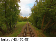Участок Сосновый Бор - Пионерская, Минская ДЖД, Беларусь (2018 год). Стоковое фото, фотограф Алексей Иванов / Фотобанк Лори