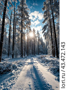 Scenery of scandinavian winter road in forest with trees, blue sky clouds, sunshine at Finland Karelia. Wintertime landscape, amazing nature view. Seasonal winter scene concept. Copy ad text space. Стоковое AI-изображение, AI-художник Aleksandr Golubev / Фотобанк Лори