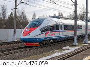 Скоростной электропоезд ЭВС1-20 "Сапсан"  мартовским днем. Октябрьская железная дорога, Ленинградская область (2024 год). Редакционное фото, фотограф Виктор Карасев / Фотобанк Лори