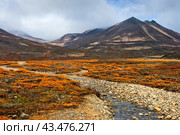 Осенний пейзаж. Красивая арктическая природа. Небольшая река среди осенней тундры в горной долине. Путешествия и походы на Крайний Север в Арктику. Северная природа Сибири и Дальнего Востока России. Чукотка. Стоковое фото, фотограф Андрей Степанов / Фотобанк Лори