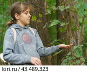 Photography of young Magician. A girl feeds a tit bird from her hands. The concept of trust, communication with wildlife, caring for wildlife. Стоковое фото, фотограф YuryKara / Фотобанк Лори
