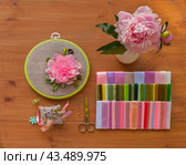 Summer floral hand embroidery with satin ribbons of peony flowers in hoop, bouquet of fresh peonies on wooden table. Nearby is set of colorful satin ribbons, needles and scissors for work. Flat lay, close-up. Стоковое фото, фотограф Виктория Катьянова / Фотобанк Лори