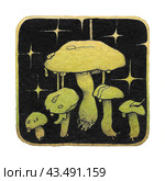 Зеленые акварельные грибы. Watercolor illustration with bright green mushrooms. Hand drawn fungi graphics. Стоковая иллюстрация, иллюстратор Карнаухова Елена / Фотобанк Лори