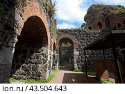 Германия. Дюссельдорф. Кайзерсверт, руины королевского дворца. Kaiserswerth (2012 год). Редакционное фото, фотограф Irina Kruskop / Фотобанк Лори