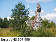 Арт-объект Пинежский рябчик (2022 год). Редакционное фото, фотограф Николай Гернет / Фотобанк Лори