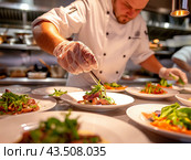 Chef Plating Gourmet Dishes in a Professional Kitchen. Стоковое AI-изображение, AI-художник Кирилл Черезов / Фотобанк Лори