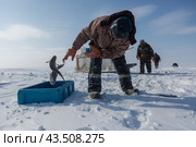 Подледный лов рыбы в Обской губе на Ямале (2018 год). Редакционное фото, фотограф Николай Гернет / Фотобанк Лори