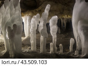 Карстовые пещеры на территории Пинежского заповедника (2014 год). Стоковое фото, фотограф Николай Гернет / Фотобанк Лори