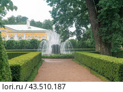 View of the Catherine Building of the Monplaisir Palace in Peterhof, Saint-Petersburg (2024 год). Редакционное фото, фотограф Евгений Харитонов / Фотобанк Лори
