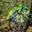 Bicycle trip with tents. Camping in a pine forest. Tourist tent and bicycle in the forest. (2022 год). Редакционное фото, фотограф Zima Nadezhda / Фотобанк Лори