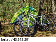 Bicycle trip with tents. Camping in a pine forest. Tourist tent and bicycle in the forest. (2022 год). Редакционное фото, фотограф Zima Nadezhda / Фотобанк Лори