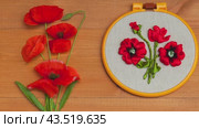 Video of floral hand embroidery with satin ribbons of red poppy flowers in hoops on wooden background. Crafts and embroidery as hobby and leisure. Top view, close-up, flat lay, mock up. Стоковое видео, видеограф Виктория Катьянова / Фотобанк Лори