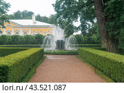 View of the Catherine Building of the Monplaisir Palace in Peterhof, Saint-Petersburg (2024 год). Редакционное фото, фотограф Евгений Харитонов / Фотобанк Лори