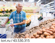 Elderly retired man buying potato in grocery department of supermarket. Стоковое фото, фотограф Татьяна Яцевич / Фотобанк Лори
