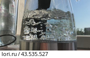 Water boils in a transparent electric kettle. Стоковое видео, видеограф Ярославский Максим / Фотобанк Лори