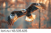 A majestic bald eagle soars gracefully through the sky, showcasing its impressive wingspan. Стоковое AI-изображение, AI-художник Юрий Поздников / Фотобанк Лори